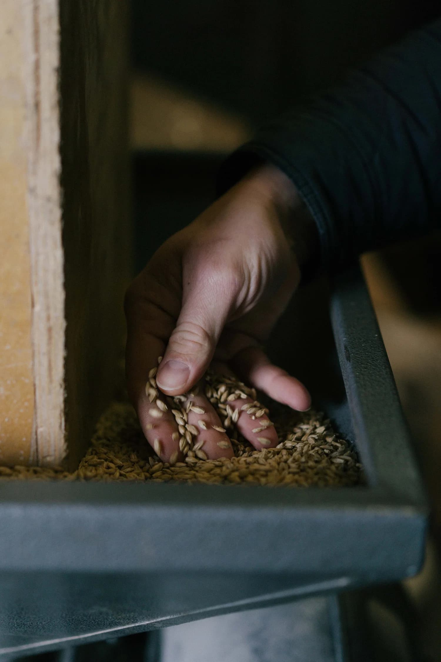 Fourwinds Brewing — Photography